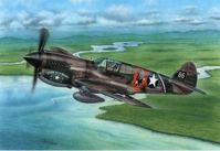 P-40E Warhawk "Claws and Teeth" - Image 1